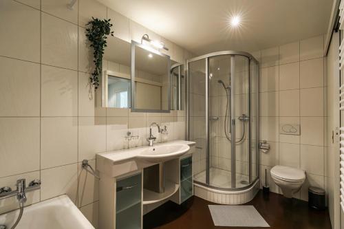 La salle de bains est pourvue d'un lavabo, d'une douche et de toilettes. dans l'établissement Historische Wohnung im Herzen der Thuner Altstadt, à Thun