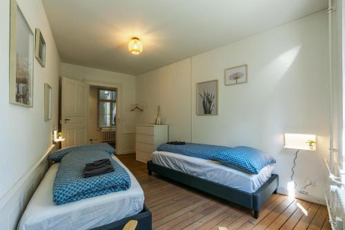 a bedroom with two beds in a room at Historische Wohnung im Herzen der Thuner Altstadt in Thun