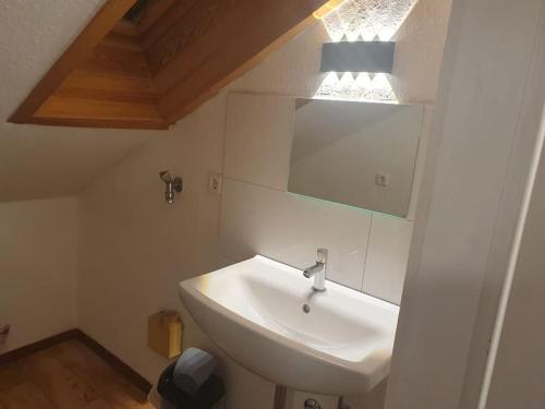 uma casa de banho com um lavatório branco e um espelho. em Waterfalls Apartment em Triberg