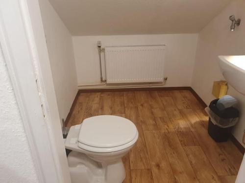 ein Badezimmer mit einem weißen WC und einem Waschbecken in der Unterkunft Waterfalls Apartment in Triberg
