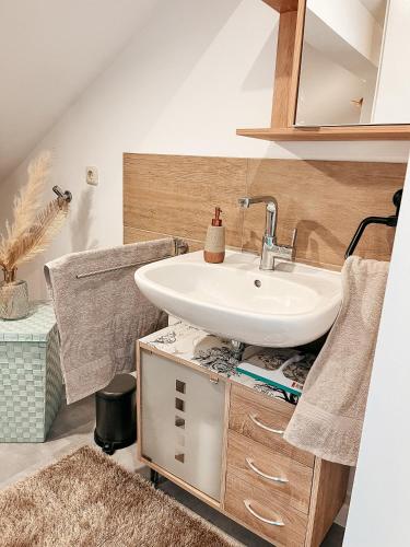 uma casa de banho com um lavatório e um balcão com um espelho em Apartment Viechtach em Viechtach