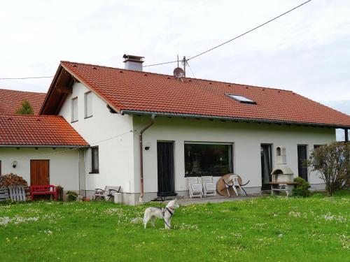 einem Hund, der im Gras vor einem Haus steht in der Unterkunft Cosy apartment in Allg u with garden in Oy-Mittelberg