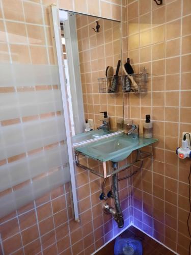 bagno con lavandino e specchio di Loft con jardin a Madrid