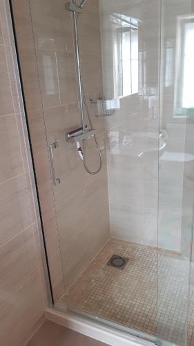 a shower with a glass door and a sink at Ferienwohnung am Schlosssee. in Penkun