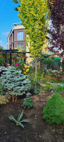 a garden of flowers in front of a building at Vila Davi in Costinesti