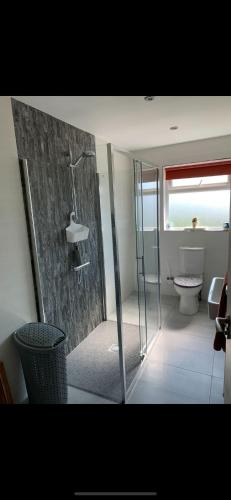 a bathroom with a glass shower and a toilet at 'Kodi's Place' Well appointed 1 bedroom apartment with excellent transport links and free Wi-Fi in Whiteabbey