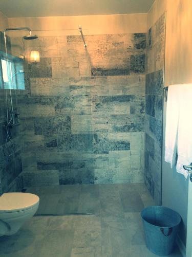 a bathroom with a shower with a toilet and a sink at Mörk Superior Cottages in Hvammstangi