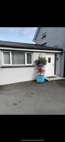 a white house with a potted plant in front of it at 'Kodi's Place' Well appointed 1 bedroom apartment with excellent transport links and free Wi-Fi in Whiteabbey