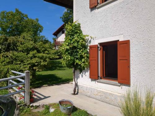 Apartmaji Klanc