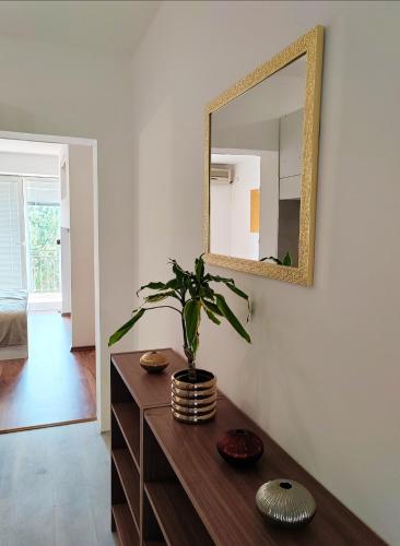un espejo y una planta en un tocador de madera en una habitación en Sončni apartma, en Ankaran