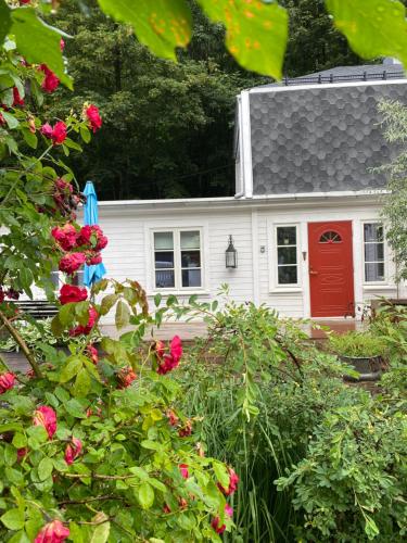 a white house with a red door and some roses at Sentralt hus i Rjukan in Rjukan