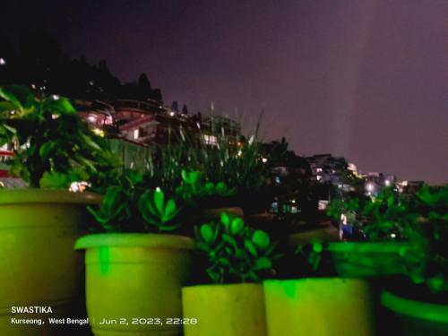 a group of plants in green pots at night at International Youth Hostel and Homestay Kurseong Bazar in Kurseong