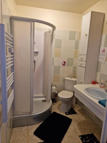 a bathroom with a shower and a toilet and a sink at Appartement Le Dauphin 