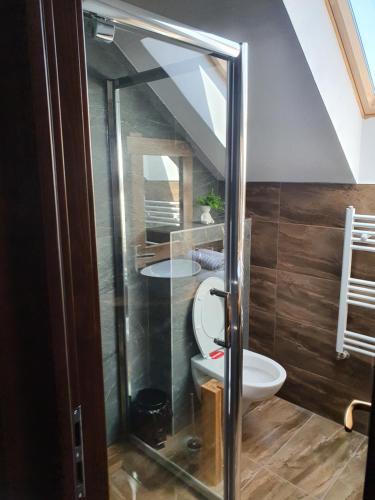 a bathroom with a toilet and a sink at Pensiunea transilvania in Covasna