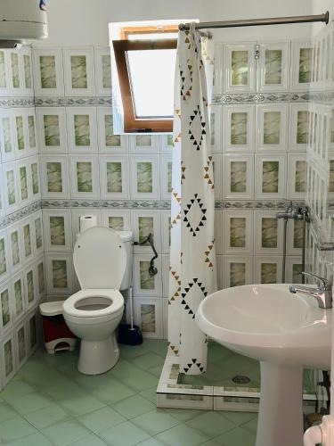 a bathroom with a toilet and a sink at Vila Demiraj Ksamil Sarande in Ksamil