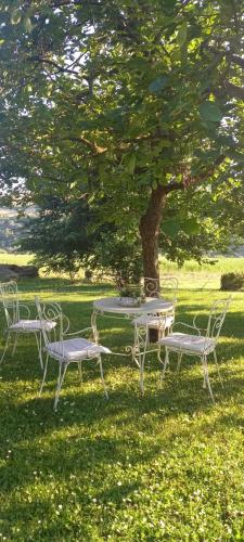 een tafel en stoelen onder een boom in het gras bij Le Bumbarelle in Tavoleto