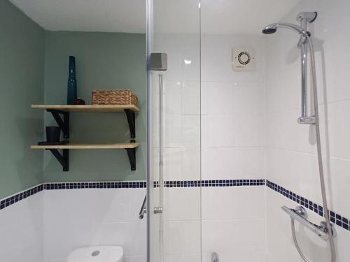een badkamer met een douche, een toilet en een wastafel bij Treetop Cottage at Countisbury Lodge in Lynmouth