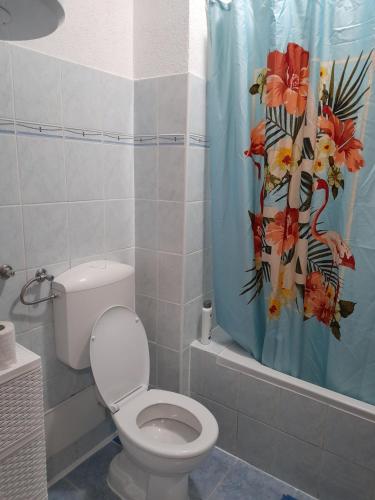 a bathroom with a toilet and a shower curtain at Apartman Insula in Otoka