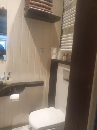 ein Badezimmer mit einem WC und eine Treppe mit Handtüchern in der Unterkunft POKÓJ RODZINNY SERCE KRYNICY in Krynica Morska