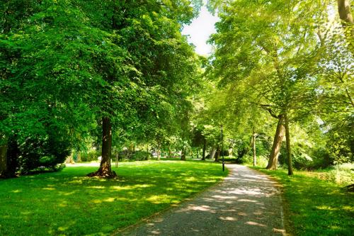 a path in a park with trees and grass at Ferienhaus Mein Stall in Borken