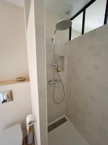 a bathroom with a shower with a glass door at Entre les branches in Saint-Règle