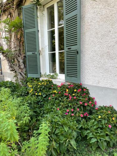 a window with green shutters next to a bunch of flowers at Entre les branches in Saint-Règle