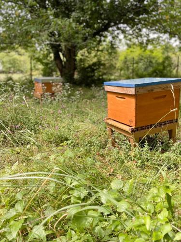a wooden beehive sitting in a field of grass at Entre les branches in Saint-Règle