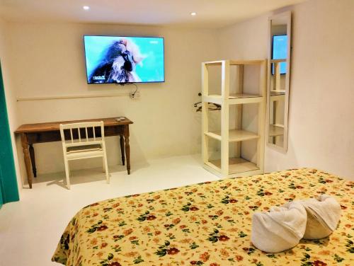 a bedroom with a bed and a television on the wall at Bahama Breeze Beach Apartment in Cap Malheureux