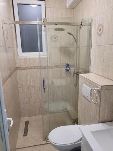 Un baño con ducha, inodoro y lavabo. en David INN, en Băile Felix