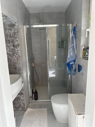 uma casa de banho com um chuveiro, um WC e um lavatório. em Luxury room in Gharghur em Għargħur