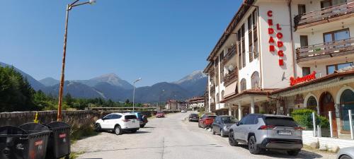 a street with cars parked on the side of a building at Ski-in ski-out Fantastic Apartament in Bansko