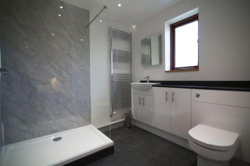 a bathroom with a toilet and a shower and a sink at Owls Roost 2 en-suites, nr Port Isaac & Tintagel in Camelford