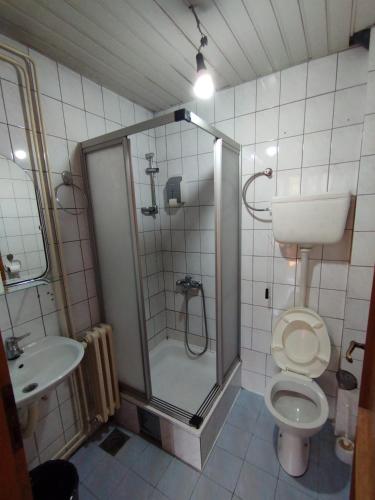 a bathroom with a shower and a toilet and a sink at VILA MARKO in Niška Banja