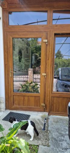 Fotografie z fotogalerie ubytování ToMario Studio apartment v Portoroži