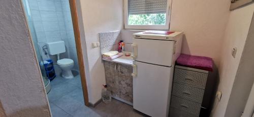 a small bathroom with a refrigerator and a toilet at Vikendica Lukavac in Lukavac