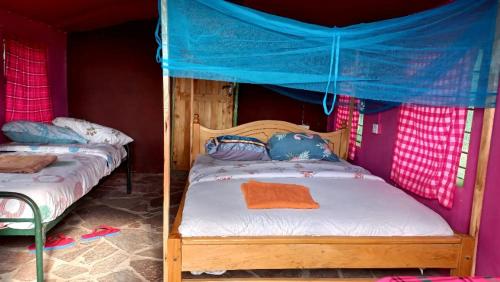 a bedroom with two beds with a blue canopy at Lookout homestay in Sekenani