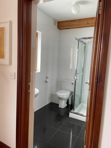 W łazience znajduje się toaleta i przeszklony prysznic. w obiekcie Carraig Inn w mieście Derreen