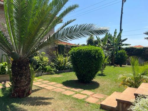 a garden with a palm tree and a bush at Del Cielo Serviced Apartments in Entebbe