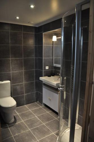 une salle de bain avec toilettes, lavabo et douche dans l'établissement Appartement calme aigueblanche trois vallées, à Aigueblanche