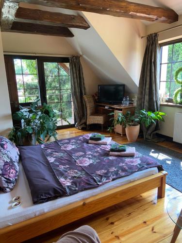 a large bed in a living room with windows at Noclegi na Mazurach. in Olsztynek