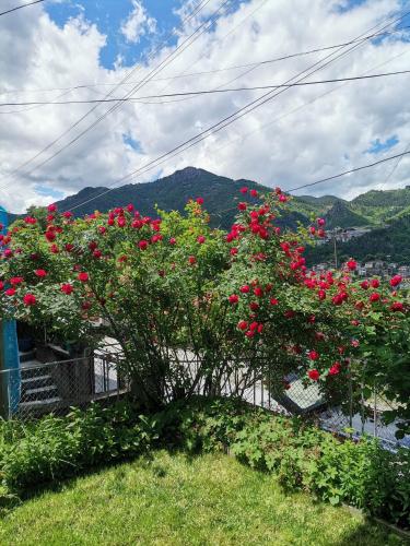 a bunch of red flowers on a fence at Къща за гости - Софи, гр. Девин in Devin
