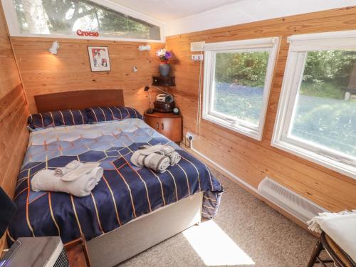 a bedroom with a bed and two windows at Awelon in Newcastle Emlyn