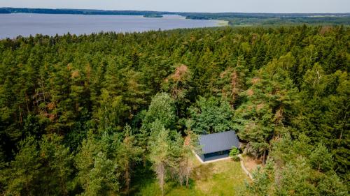 an overhead view of a building in the middle of a forest at Cocodeno-'Virš Ąžuolų' - Forest SPA - FREE jacuzzi in Paplatelė
