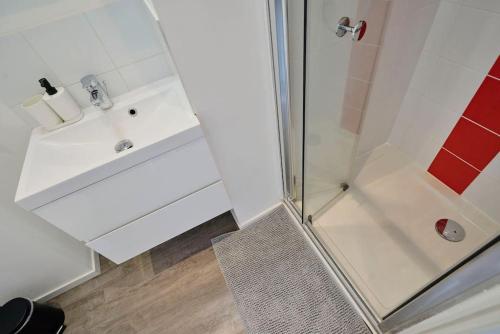 La salle de bains est pourvue d'une douche et d'un lavabo. dans l'établissement Locations Tourcoing - Le Concorde, à Roubaix