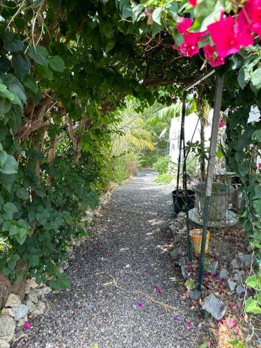 un sentiero da giardino con fiori e piante rosa di Azaria a Le Gosier