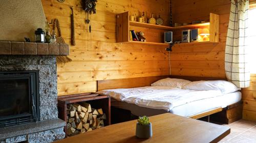ein Schlafzimmer mit einem Bett und einem Kamin in der Unterkunft Drevenica JURsport Dúbrava in Dúbrava