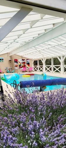 un banc bleu dans une pièce avec des fleurs violettes dans l'établissement Bienvenue au Faré Hibiscus, à Corrombles