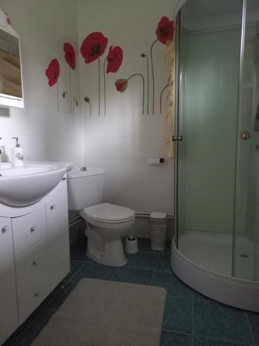 a bathroom with a toilet and a shower with red flowers on the wall at Wooden house in Hondol