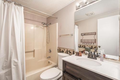 a bathroom with a sink and a toilet and a shower at Beary Relaxing in McHenry