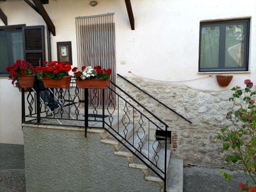 Una escalera con dos cajas de flores y flores. en Casa Hemingway, en Barisciano